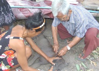 With a little help from his friends, and free vaccine from city public health volunteers, 78-year-old Chalieow Kamsawat managed to vaccinate 10 stray dogs living in his soi.